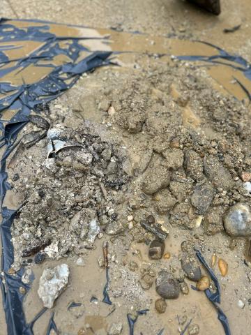 preturi denisipari, foraje si denisipari